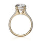 Michael M Hidden Halo Round Engagement Ring