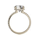 Michael M Hidden Halo Round Engagement Ring