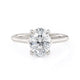 MICHAEL M Engagement Rings Crown R828-2