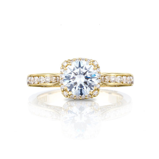 Dantela 2646-25RDC65Y