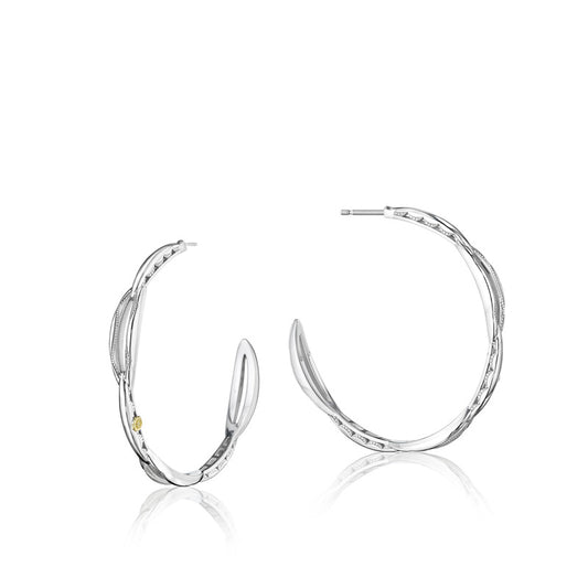 Crescent Curve Hoop Earrings