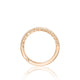 Petite Crescent HT254515B12PK
