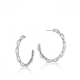 Crescent Contour Hoop Earrings