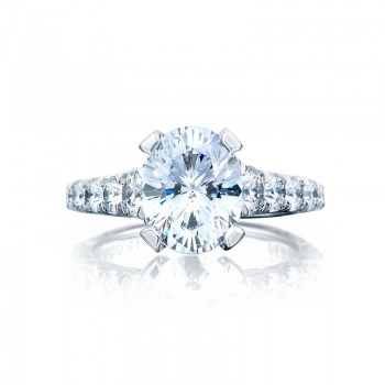 RoyalT HT2623OV10X8