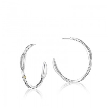 Crescent Curve Hoop Earrings