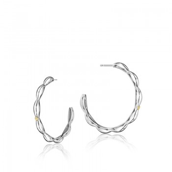 Crescent Contour Hoop Earrings